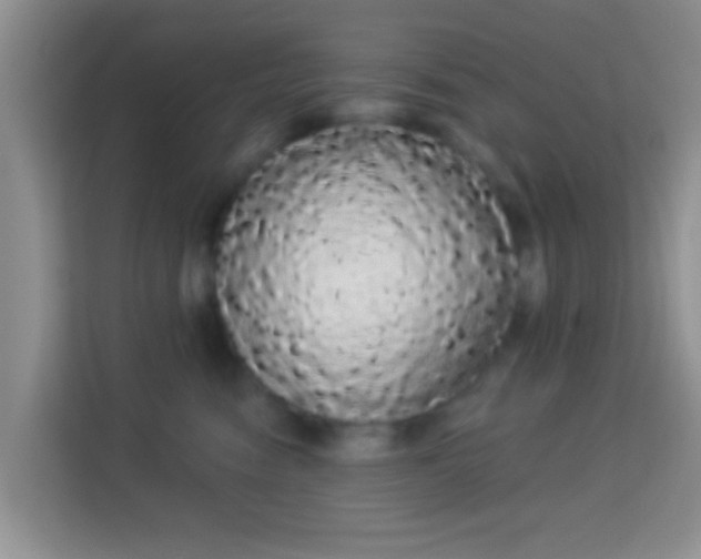 X0000113980474200910091322