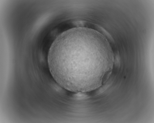 X0000113980477200910091322