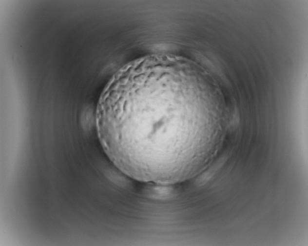 X0000113980478200910091322