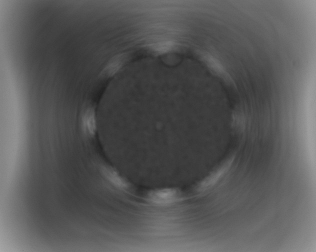 X0000113980479200910091322