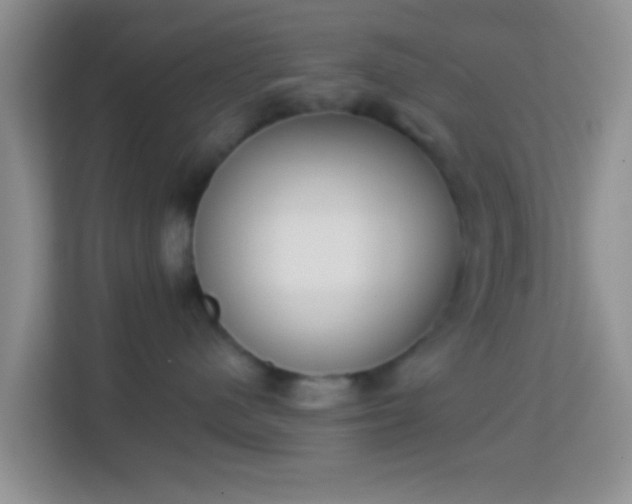 X0000113980480200910091322