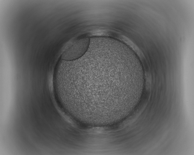 X0000113980482200910091321