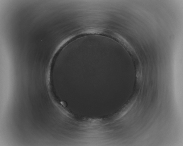 X0000113980484200910091321