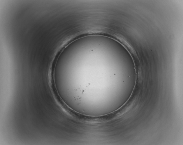 X0000113980485200910091321