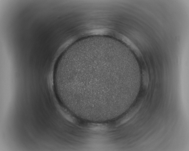 X0000113980486200910091321