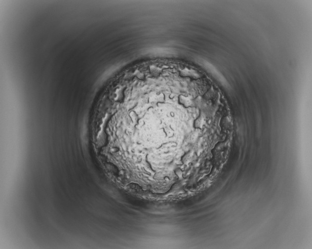 X0000113980487200910091321