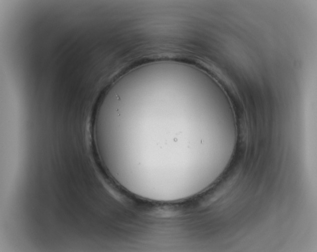 X0000113980489200910091321