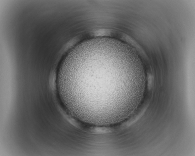 X0000113980490200910091321