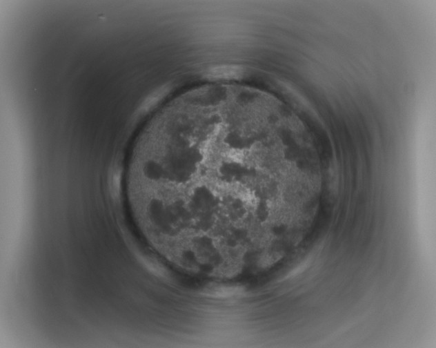 X0000113980491200910091321