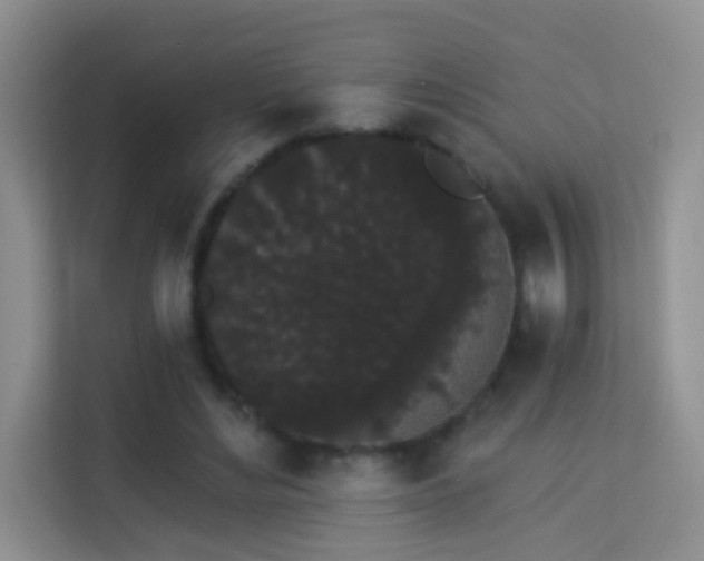 X0000113980492200910091321