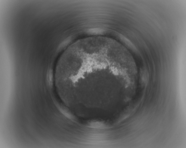 X0000113980494200910091321