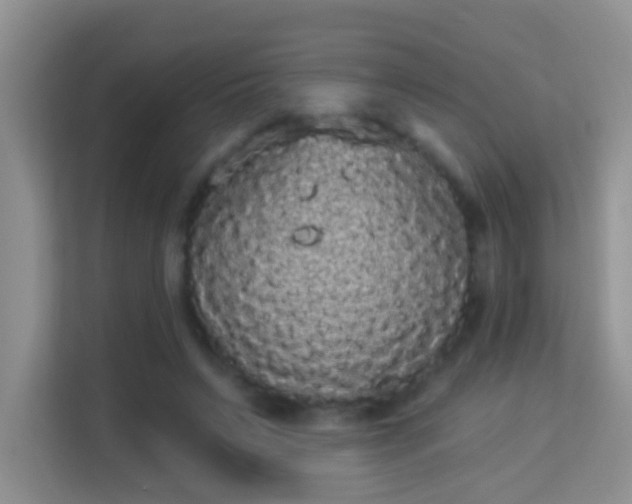 X0000113980495200910091321