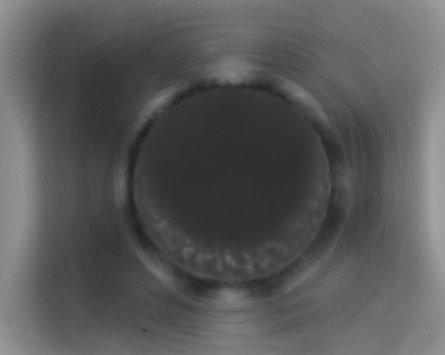 X0000113980496200910091321