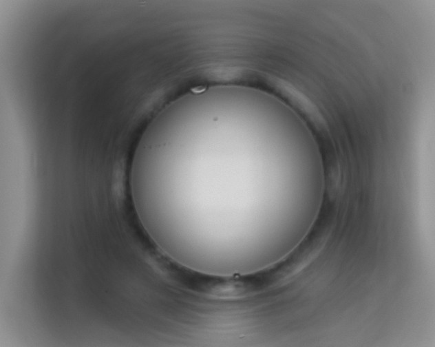 X0000113980497200910091321