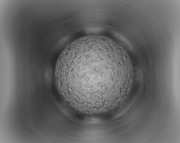 X0000113980498200910091321