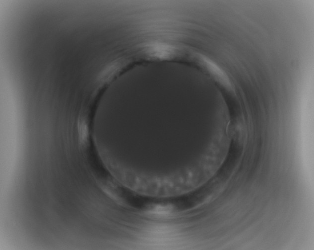 X0000113980500200910091321