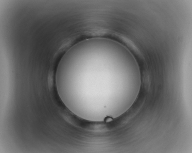 X0000113980501200910091321