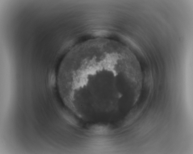 X0000113980502200910091321