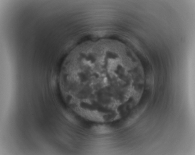 X0000113980503200910091321