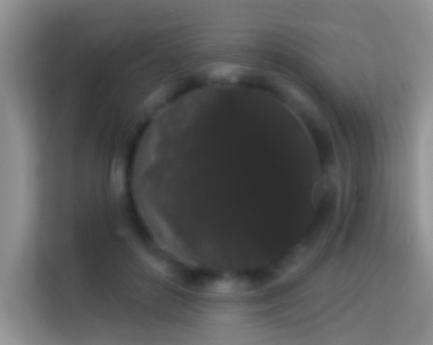 X0000113980504200910091321