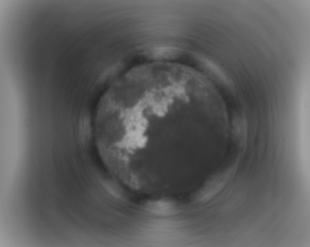 X0000113980506200910091321