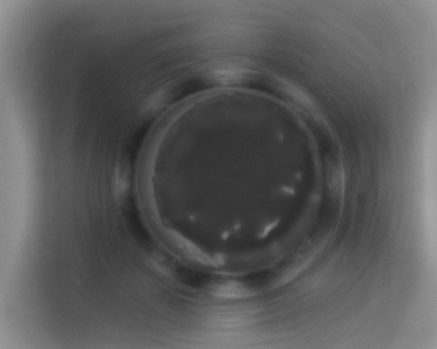 X0000113980507200910091321