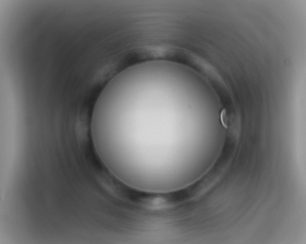 X0000113980509200910091321