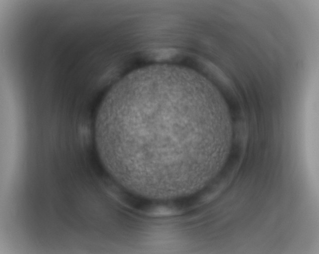 X0000113980510200910091321