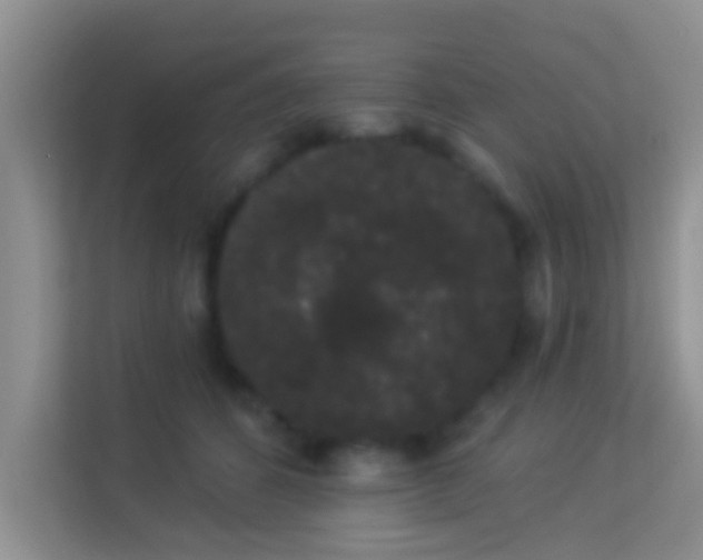 X0000113980512200910091321