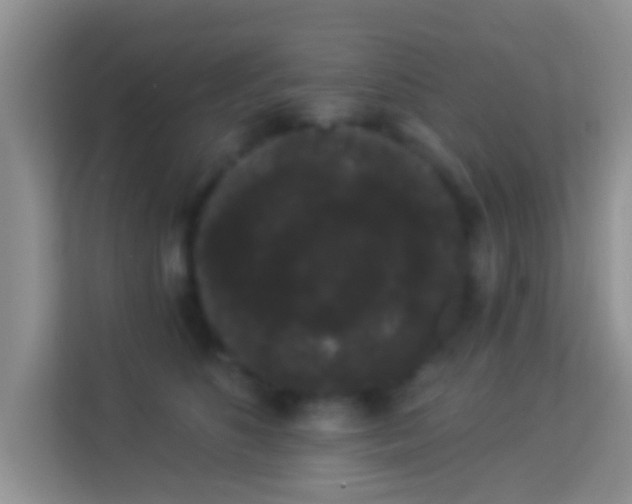 X0000113980516200910091321