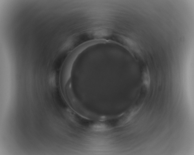 X0000113980519200910091320