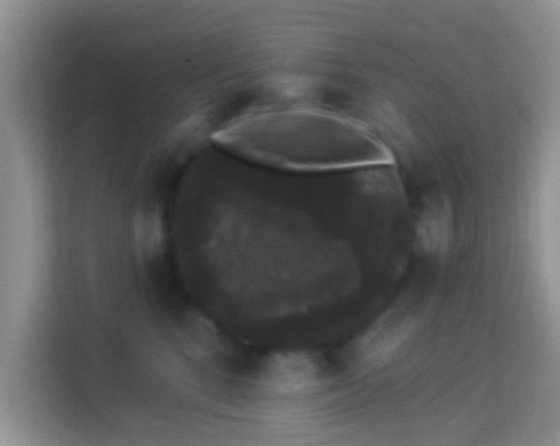 X0000113980520200910091320