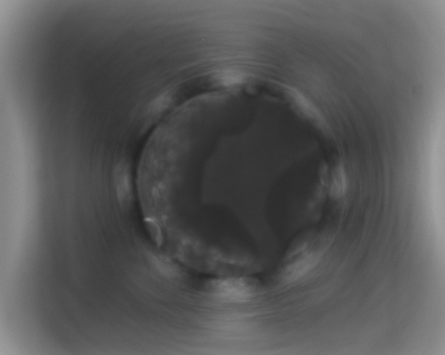 X0000113980524200910091320