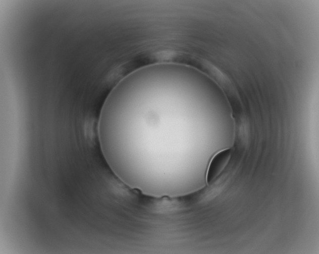 X0000113980525200910091320