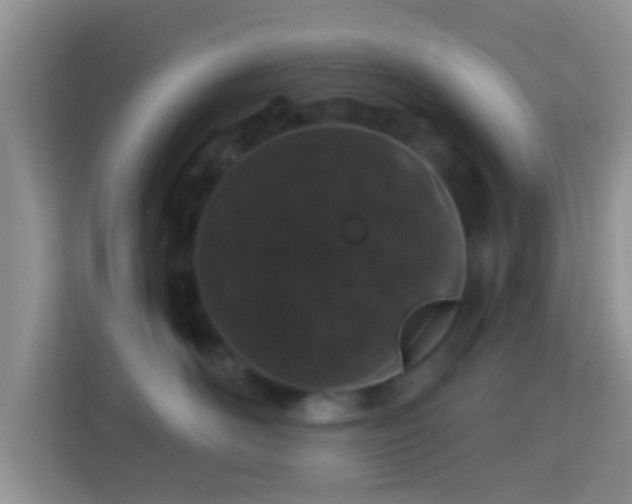 X0000113980526200910091320