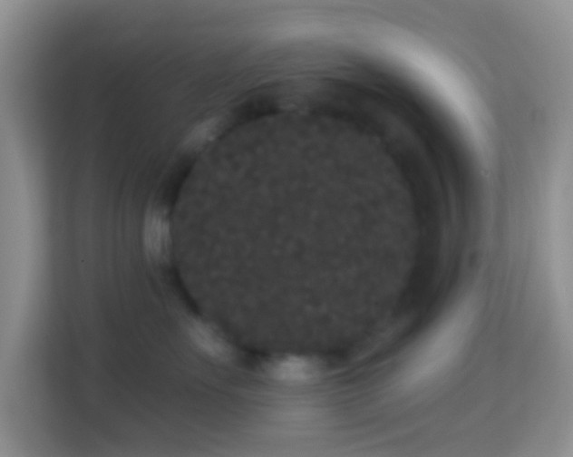 X0000113980527200910091320