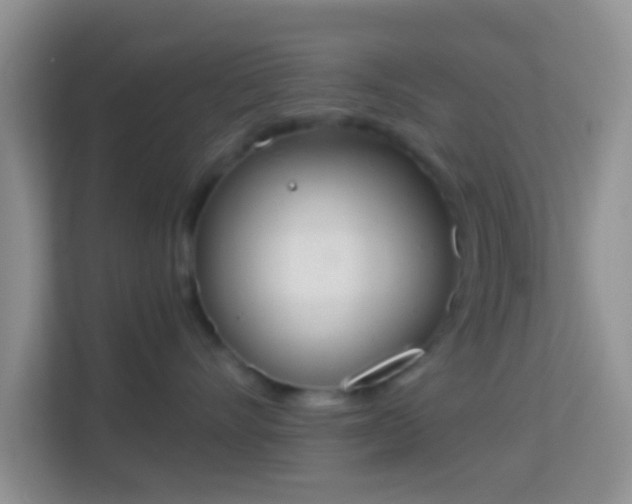 X0000113980528200910091320