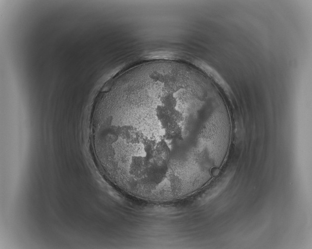 X0000113980529200910091320