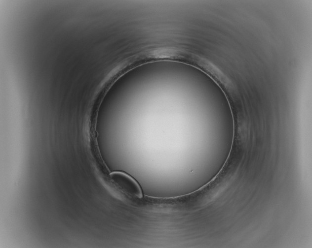 X0000113980530200910091320