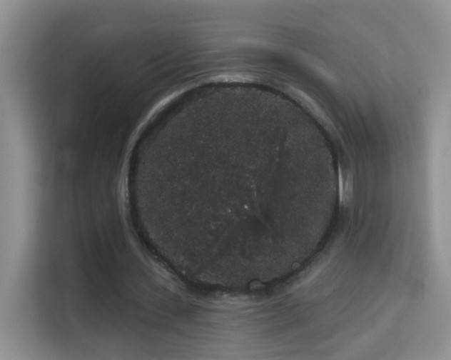 X0000113980531200910091320