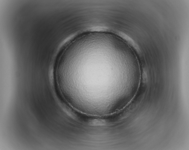 X0000113980535200910091320