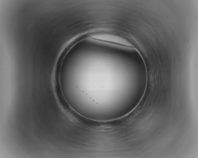 X0000113980536200910091320