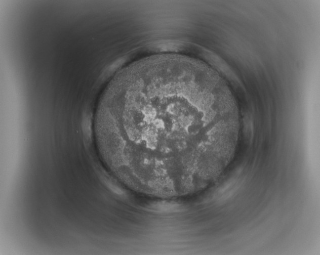 X0000113980537200910091320