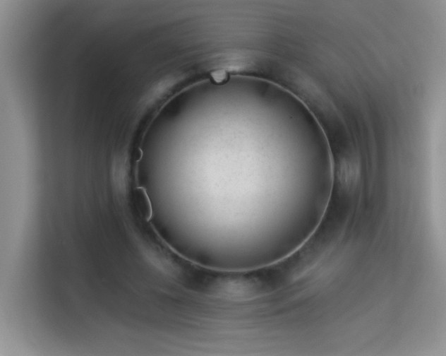 X0000113980540200910091320