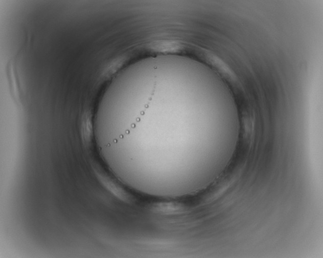 X0000113980541200910091320