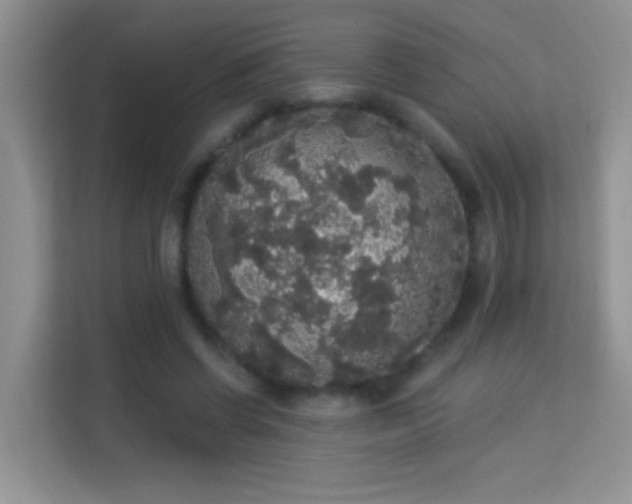 X0000113980542200910091320