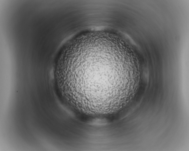 X0000113980543200910091320