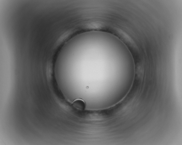 X0000113980544200910091320