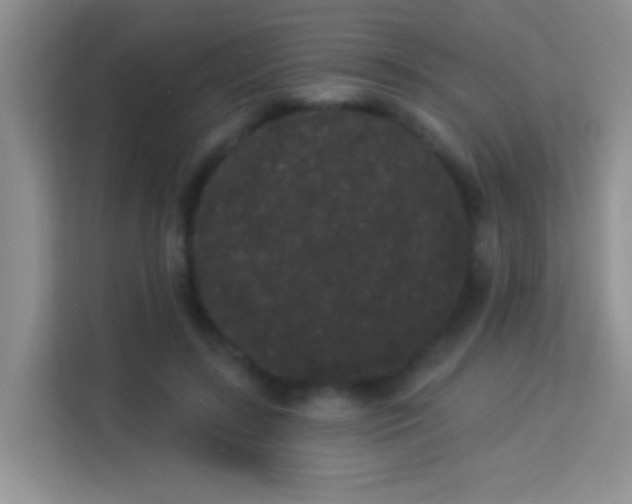 X0000113980547200910091320