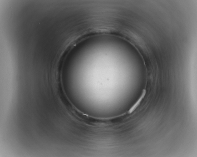 X0000113980548200910091320